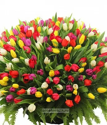 Купить Тюльпаны 251 шт в корзине (B1261) в Москве