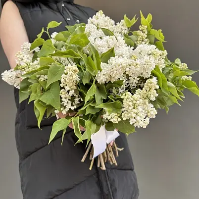 Купить Сирень 15 шт белая d=25 см, h=40 см арт. 13735 в Москве