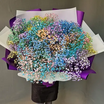 Купить Гипсофилы 25 шт цветные Упаковка арт.11180 - Просто роза ру в Москве