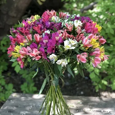 Купить Альстромерии 31 шт микс арт. 13785 уно в Москве