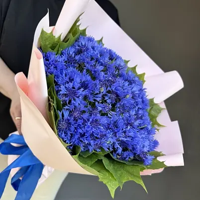 Купить Васильки 101 шт арт. 13748 трес 03H6P2L9iNTJ8qVF4yLIw0 в Москве