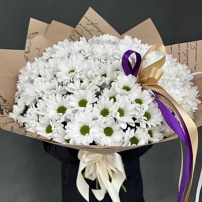 Хризантемы 15 шт Бакарди арт. 7462