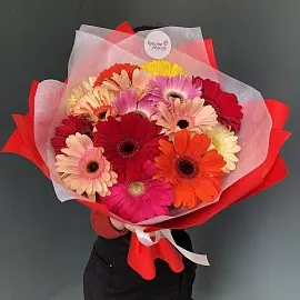 Герберы 15 шт в упаковке арт. 11782 трес
