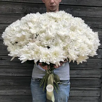 Купить Хризантемы 25 шт Балтика в Москве