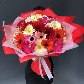 Герберы 51 шт в упаковке арт. 11781 трес