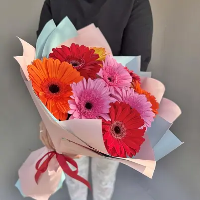 Купить Герберы 9 шт в упаковке арт. 11784 трес в Москве