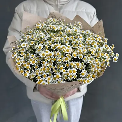 Ромашки 25 шт кустовые арт.10975 - Просто роза ру
