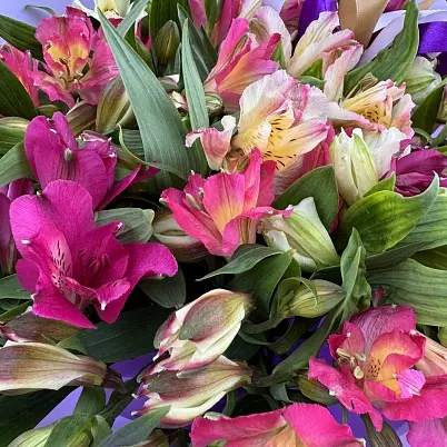 Альстромерии 15 шт микс арт.11115 уно