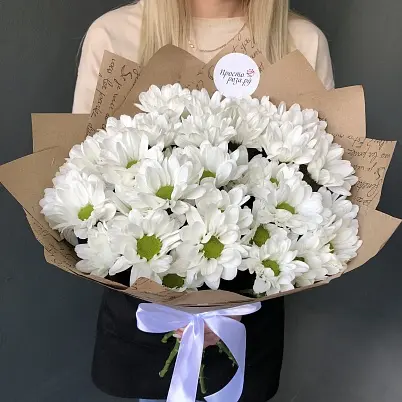 Купить Хризантемы 5 шт Бакарди арт. 10020 уно в Москве