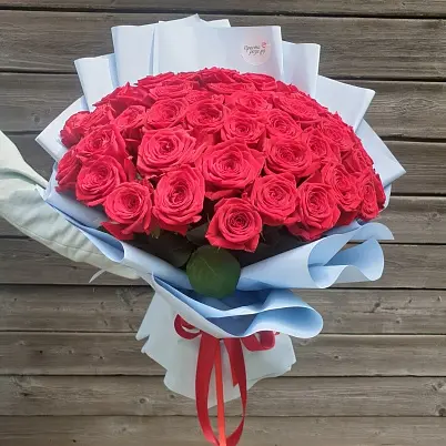 Купить Розы Премиум 51 шт красные высота 50 см в голубой упаковке - Просто роза ру в Москве