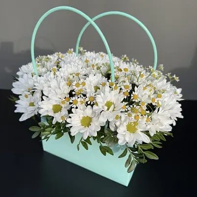 Купить Бакарди и ромашка в сумочке (5+4) арт. 13542 в Москве