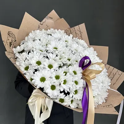 Купить Хризантемы 15 шт Бакарди арт. 7462 в Москве