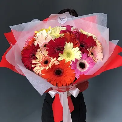 Купить Герберы 25 шт в упаковке арт. 11785 трес в Москве