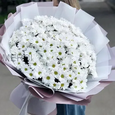 Купить Хризантема 51 шт, в упаковке в Москве