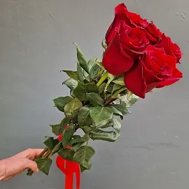 Розы Эквадор 5 шт красные 50 см арт. 13009