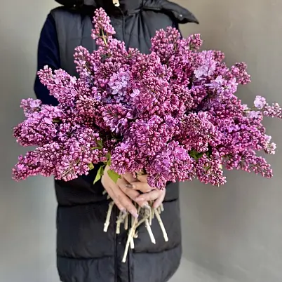 Сирень местная 25 шт d=30 см, h=40 см арт. 13015 дос