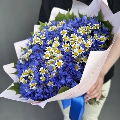 Купить Васильки 51 шт с ромашками арт. 13747 трес Zq5C3pYFgGBJBVPOCAjie3 в Москве