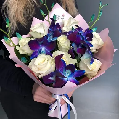 Купить Орхидеи дендробиумы Блю и белая роза (6+9) арт 12121 (2) в Москве