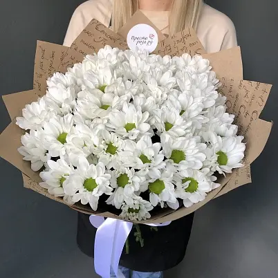 Купить Хризантемы 9 шт Бакарди арт. 7463 уно в Москве