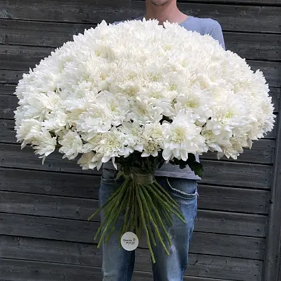 Купить Хризантемы 51 шт Балтика в Москве