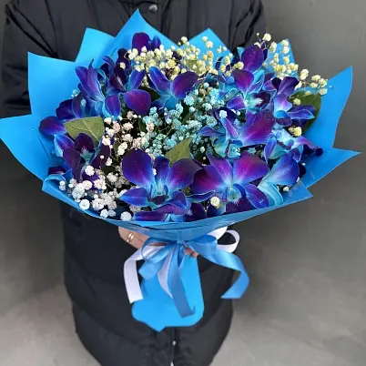 Купить Орхидеи дендробиумы Блю и гипсофила (15+2) dek арт. 13619 в Москве