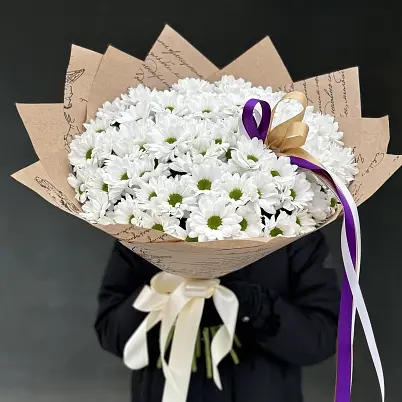 Хризантемы 15 шт Бакарди арт. 7462