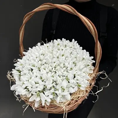 Подснежники 1001 шт в корзинке 30х30см, h=20см арт. 13653