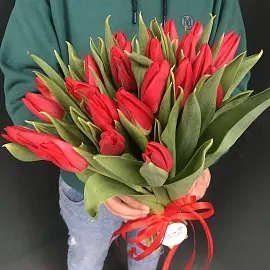 Тюльпаны 25 шт красные арт. 11419