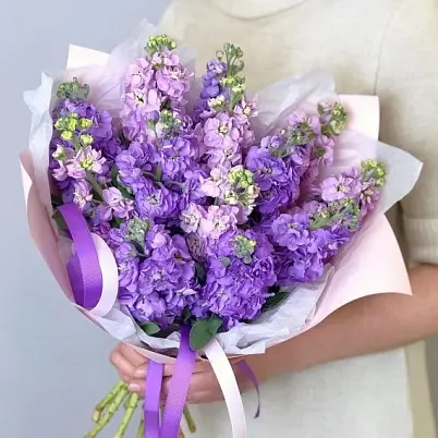 Маттиола 15 шт