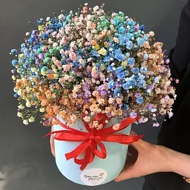 Гипсофилы 7 шт цветные в коробке 18х18 см (16.12) арт. 11182