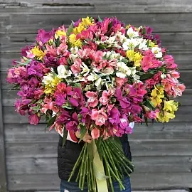 Альстромерии 51 шт микс арт.11424 уно