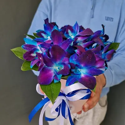 Купить Орхидеи дендробиумы Блю 9 шт в коробке арт. 12125 (2) в Москве