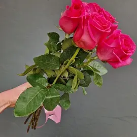 Розы Эквадор 5 шт розовые 50 см арт. 13012