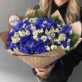 Васильки 51 шт с ромашками арт. 11336 7f7ZoseJiLuRb5kYJrhM71-