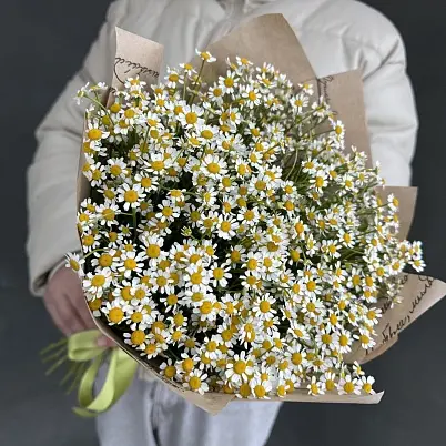 Купить Ромашки 15 шт арт.7309 - Просто роза ру в Москве