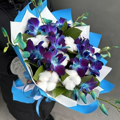 Купить Орхидеи дендробиумы Блю и хлопок (15+10) dek арт. 13620 в Москве