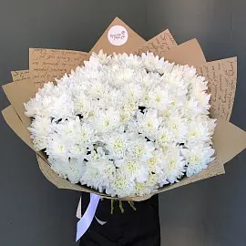 Хризантемы 15 шт Балтика