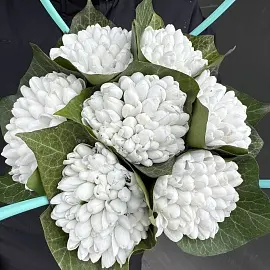 Подснежники 351 шт в сумочке 24х18см, h=14см арт. 13670 (2) (2)