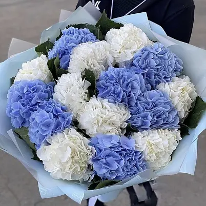 Купить Гортензии 15 шт микс в Москве