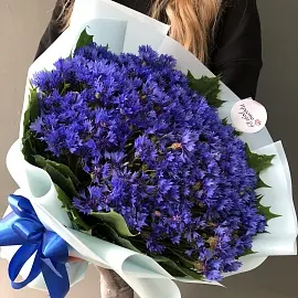 Васильки 101 шт арт.  11339 уно (2) dQPwG9pCjLZZmjy74XfvQ0