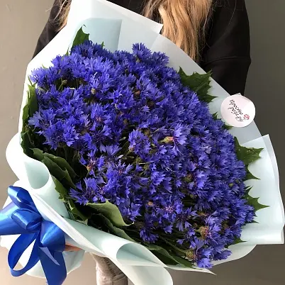 Купить Васильки 101 шт арт.  11339 уно (2) dQPwG9pCjLZZmjy74XfvQ0 в Москве