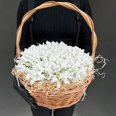 Купить Подснежники 1001 шт в корзинке 30х30см, h=18см арт. 13653 - Просто роза ру 13653 в Москве