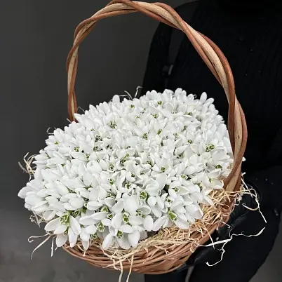 Подснежники 1001 шт в корзинке 30х30см, h=18см арт. 13653 - Просто роза ру 13653