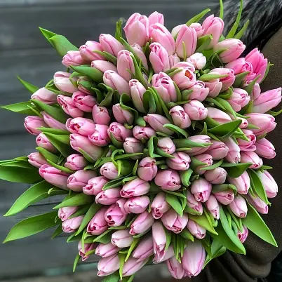 Купить Тюльпаны розовые 15,25,35,51,101 шт на выбор в Москве