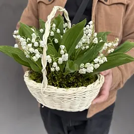 Ландыши 25 шт в корзинке арт. 13891