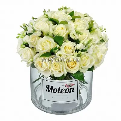 Розы белые ВИЛЬМЕН в вазе Moleon (S4048)