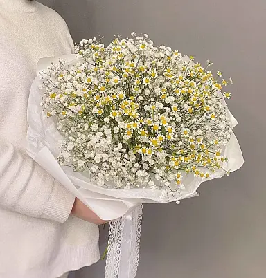 Купить Ромашки 15 шт, гипсофила, в белой упаковке в Москве