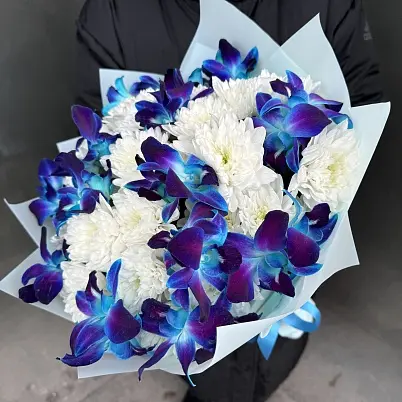 Купить Орхидеи дендробиумы Блю и балтика (15+5) dek арт. 13621 в Москве