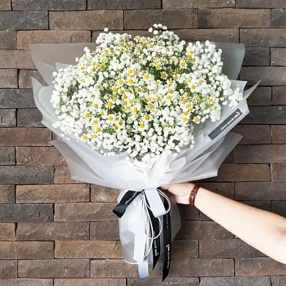 Купить Ромашки 15 шт, гипсофила, в упаковке в Москве