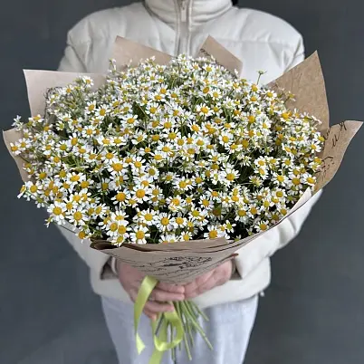 Ромашки 25 шт кустовые арт.10975 - Просто роза ру